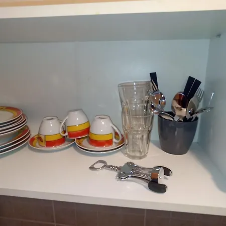 Alex Center * Timișoara