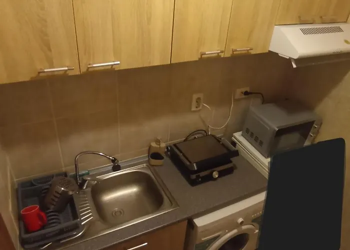 Alex Center Apartmán Temešvár