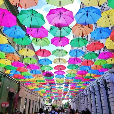 Alex Center Timişoara