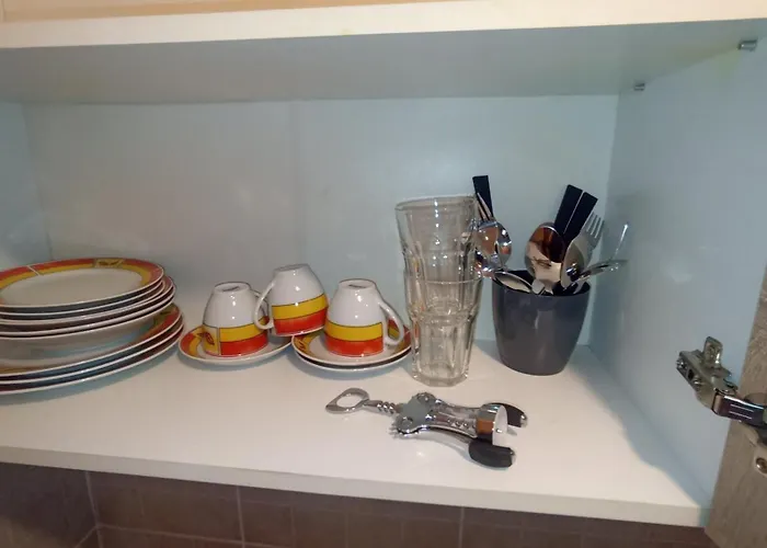 Alex Center * Timişoara